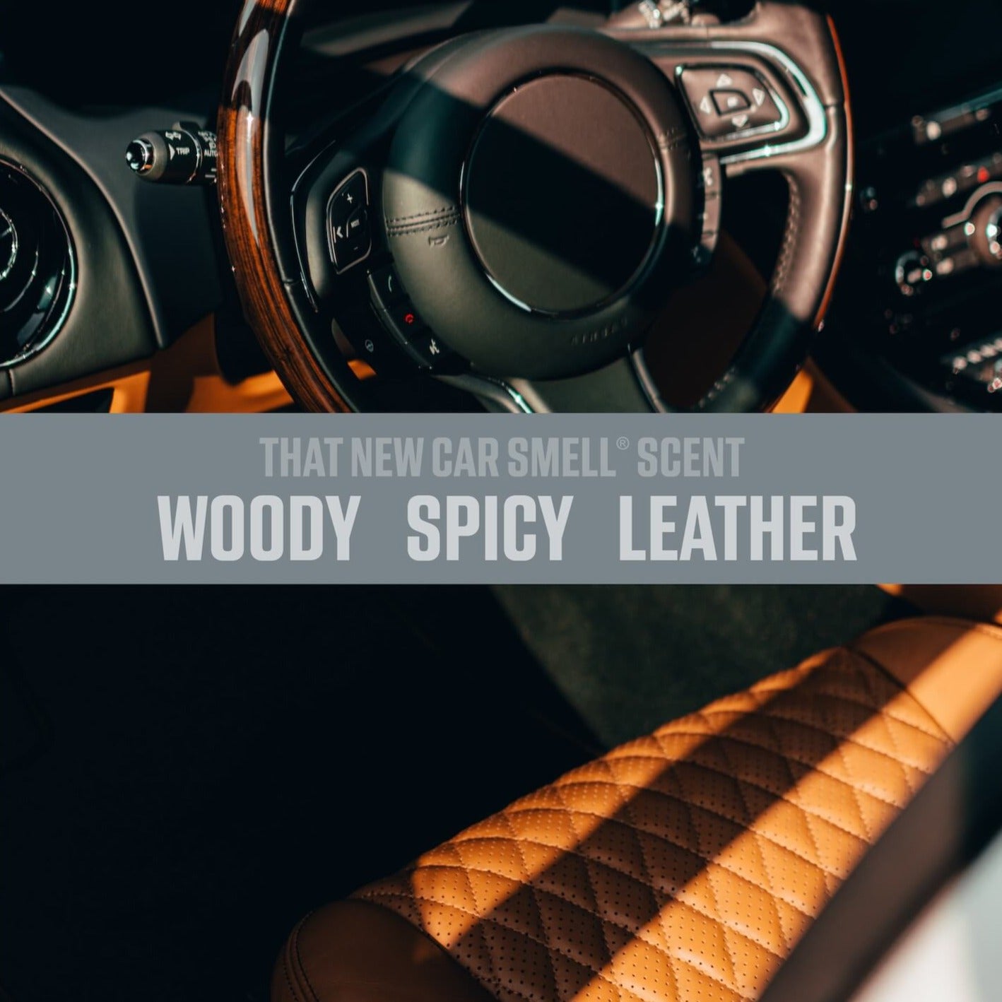 That New Car Smell Scent: woody, Spicy, Leather