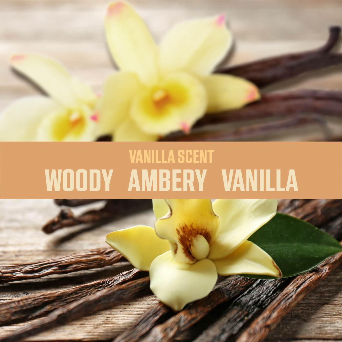 Vanilla scent: Woody, Ambery and Vanilla 