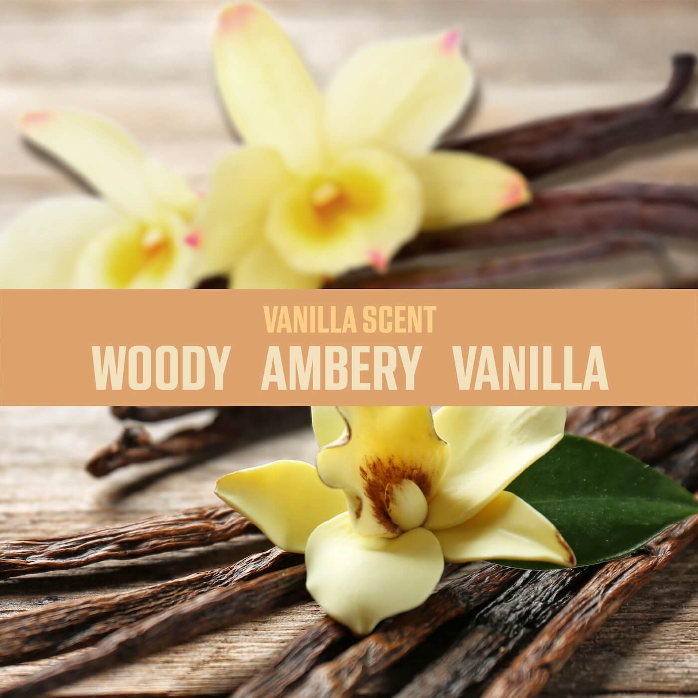 Vanilla scent: Woody, Ambery and Vanilla