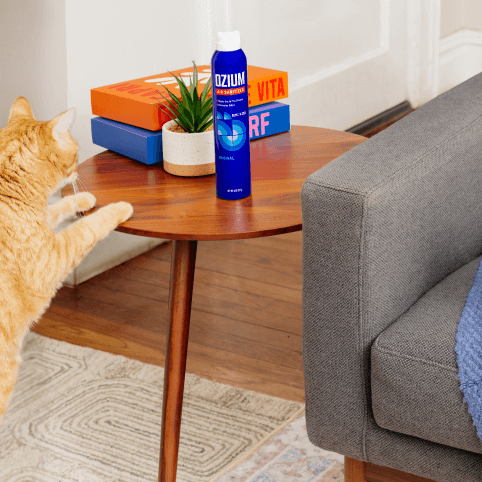 Ozium air sanitizer on a table with a cat 