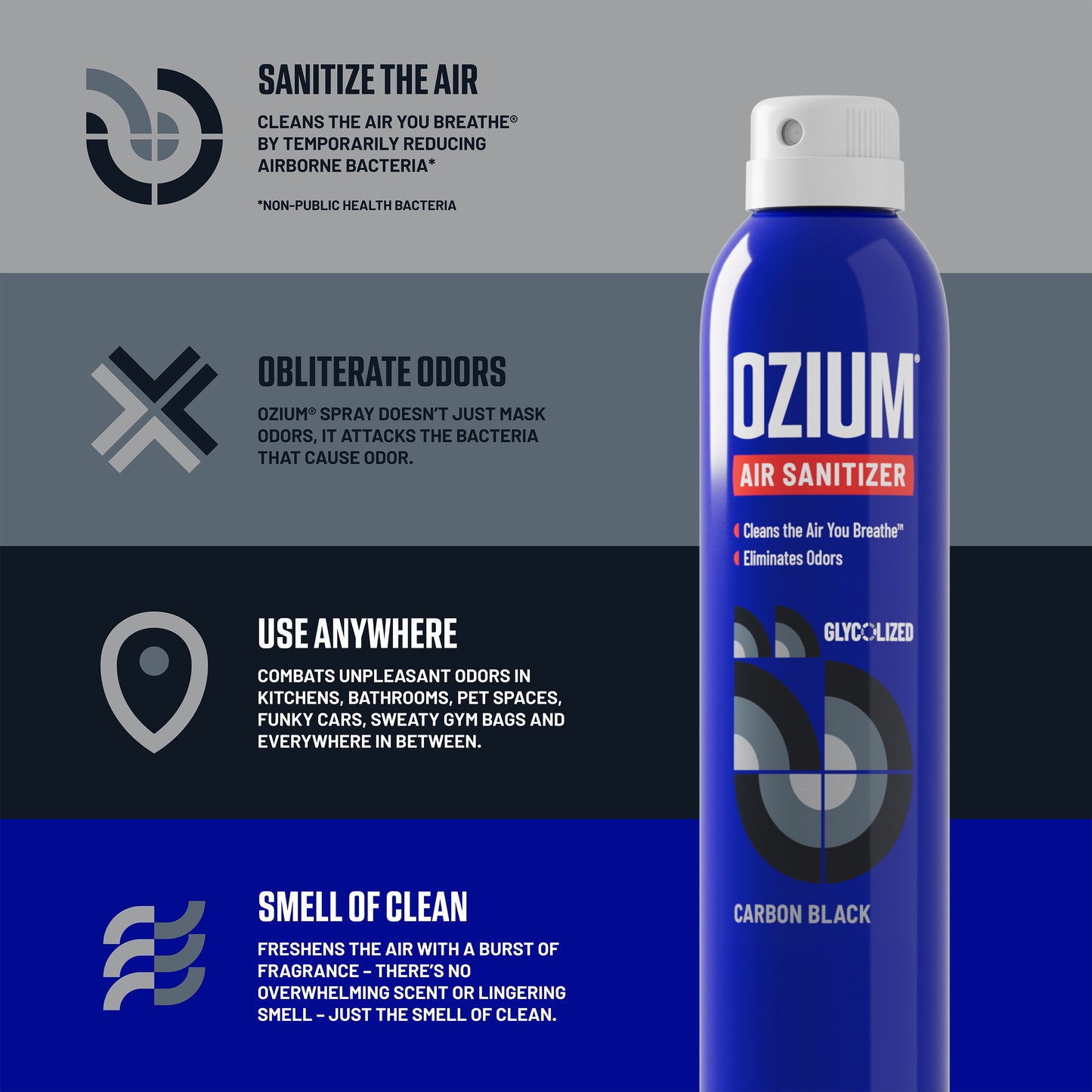 Air Sanitizer Spray 8oz