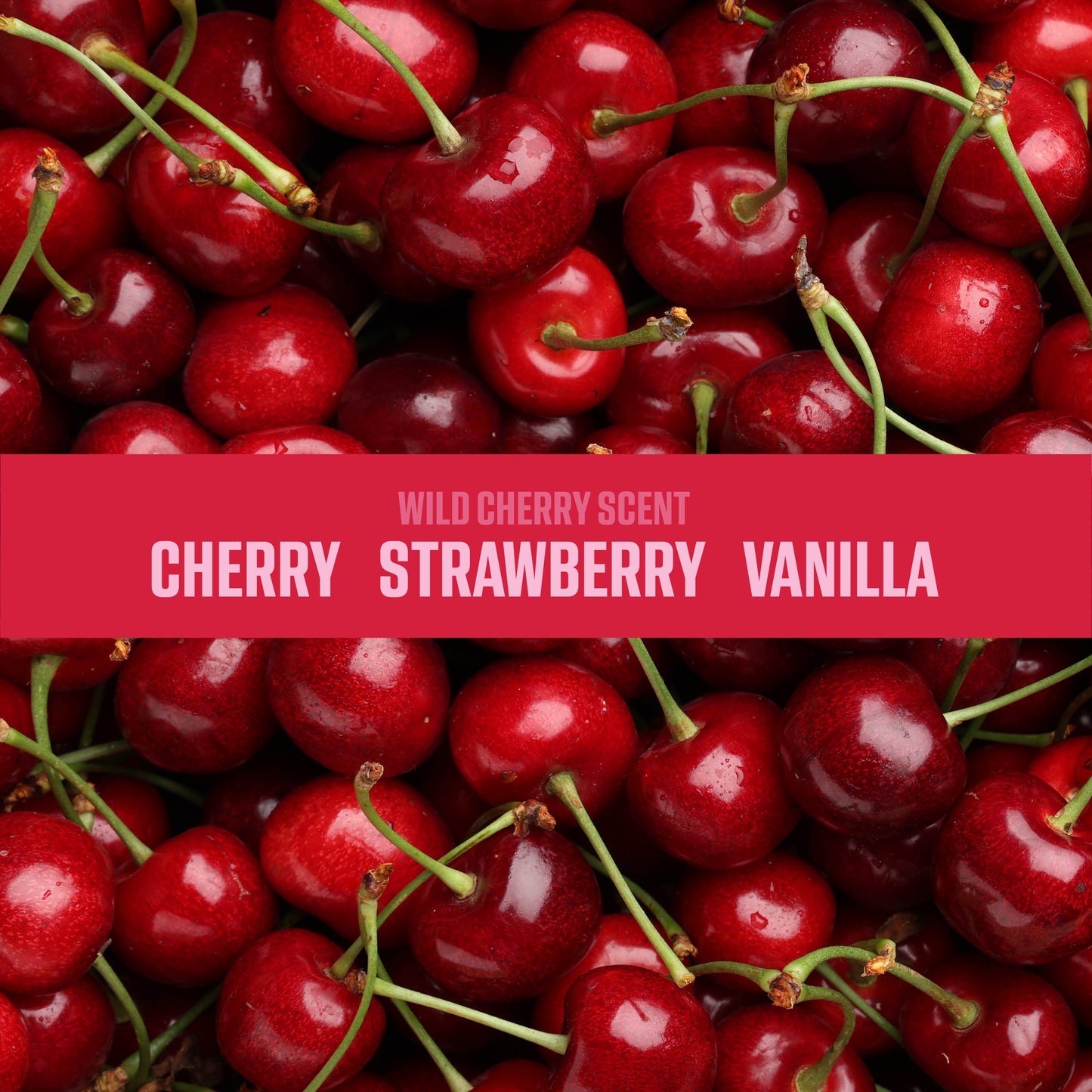 Odor Eliminating Gel 4.5oz